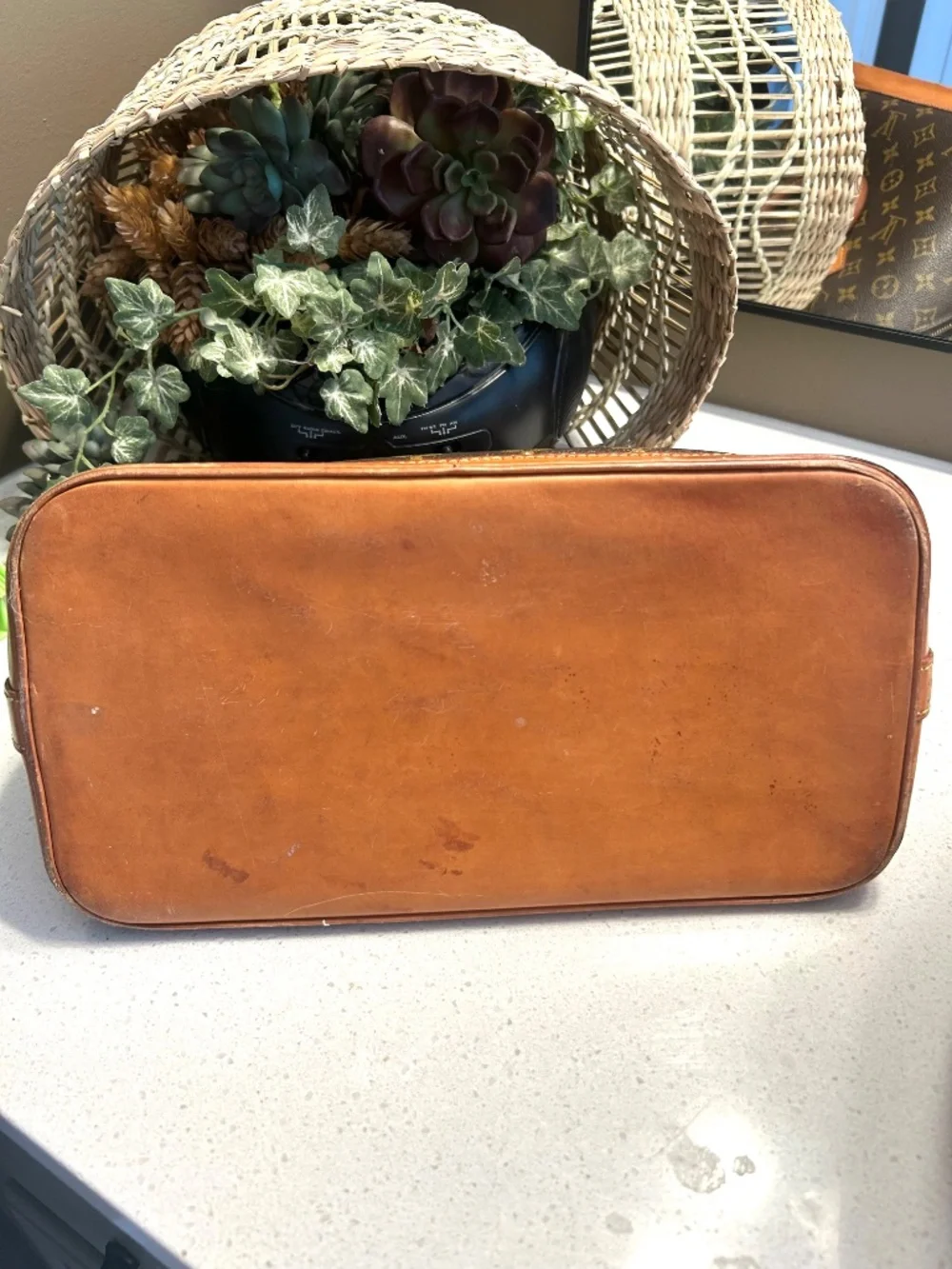 Louis Vuitton nice authentic